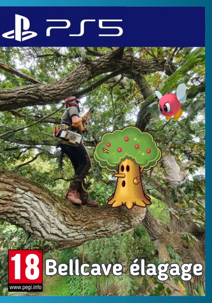 Image au survol du jeu 2