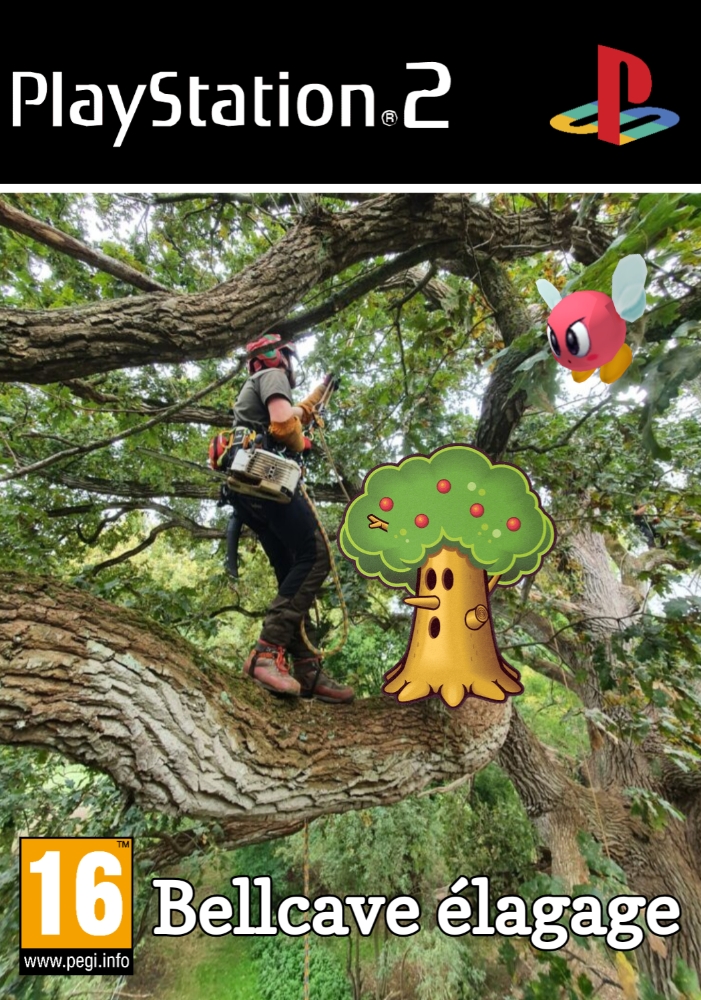 Image au survol du jeu 1